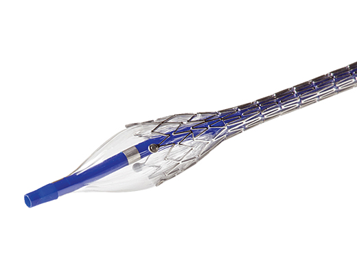 Surface Chemical Solutions